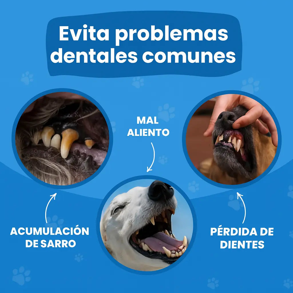 Toallitas Dentales Naturales para Mascotas