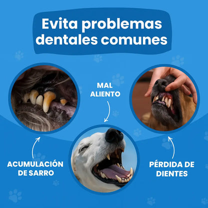 Toallitas Dentales Naturales para Mascotas