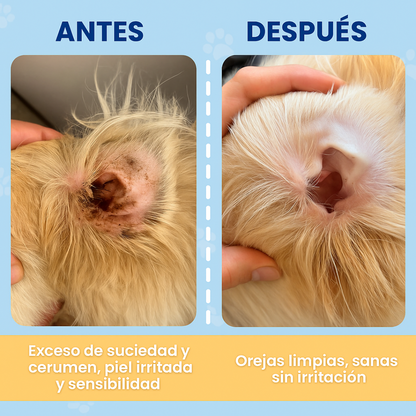 Toallitas de Oidos para Mascotas