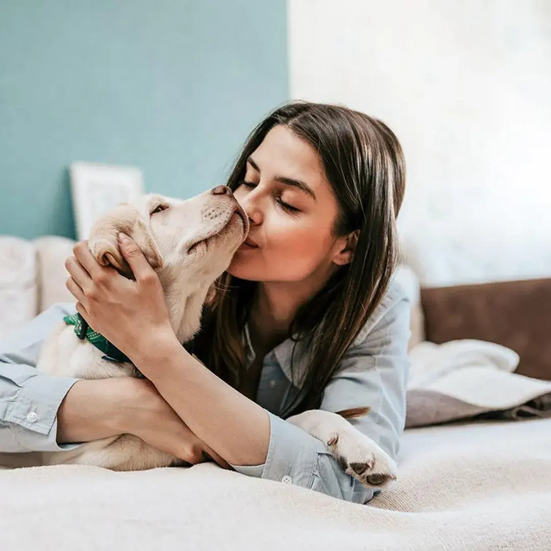 files/imgi_162_0d4908fcff83-razas-de-perros-cachorros-t_1.webp